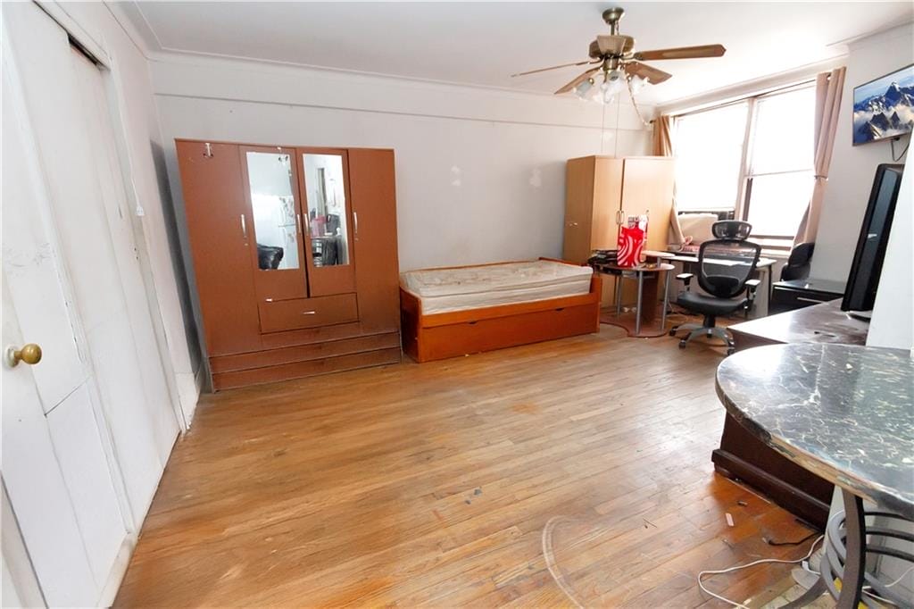 3060 Ocean Avenue 5Z, Brooklyn, New York, 11235 image 6