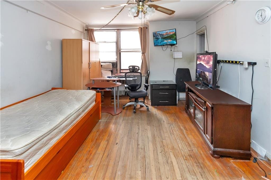 3060 Ocean Avenue 5Z, Brooklyn, New York, 11235 image 8