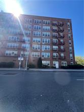 207 Ocean Parkway 1J, Brooklyn, New York, 11218 image 13