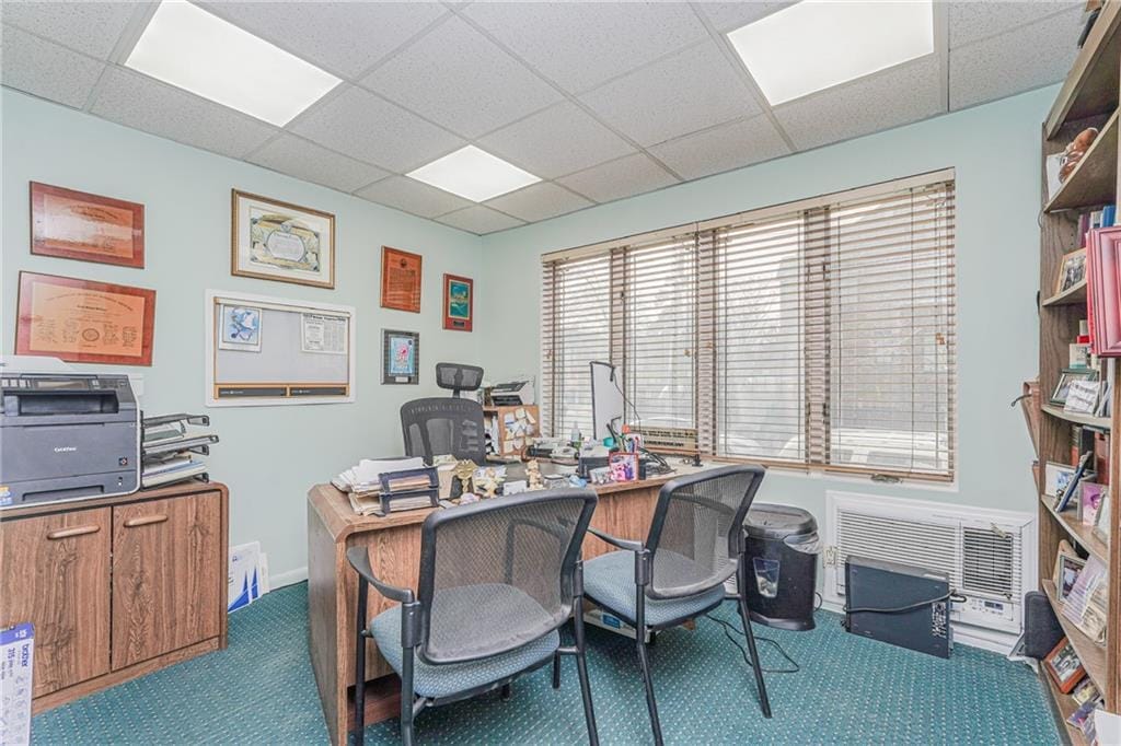 801 Avenue N, Brooklyn, New York, 11230 image 8