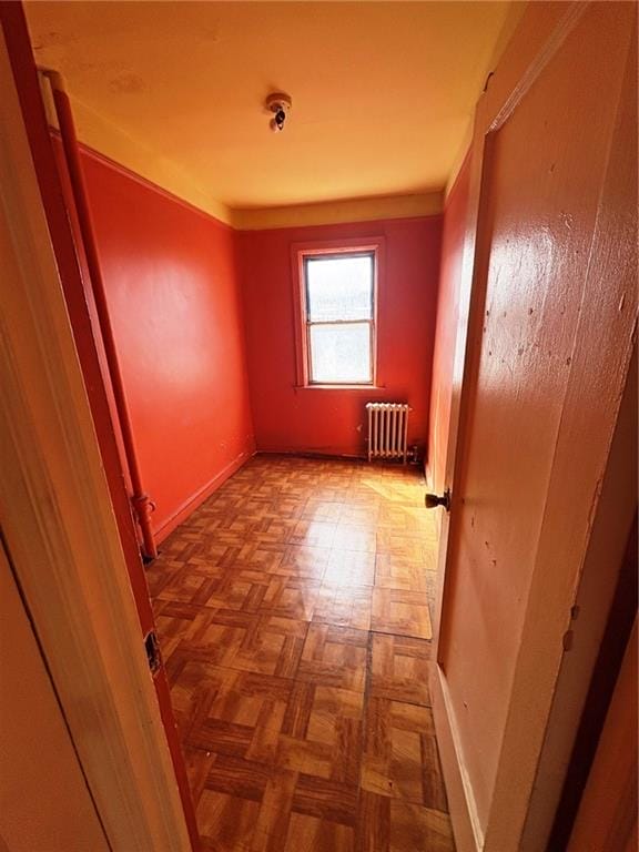 388 Fenimore Street, Brooklyn, New York, 11225 image 12