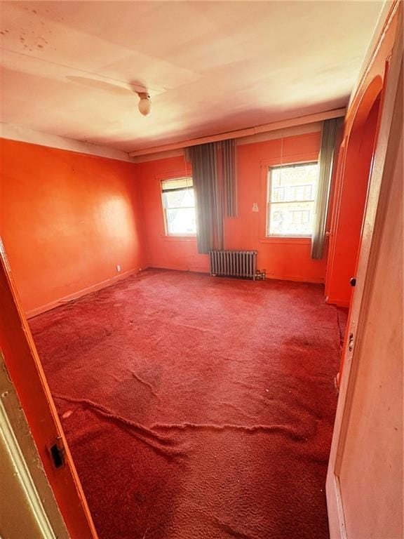 388 Fenimore Street, Brooklyn, New York, 11225 image 13