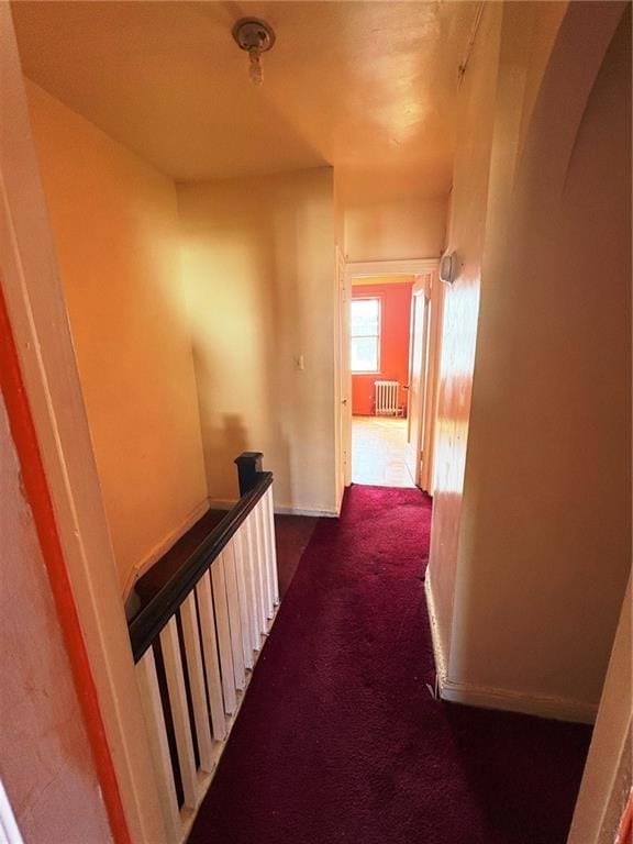 388 Fenimore Street, Brooklyn, New York, 11225 image 15