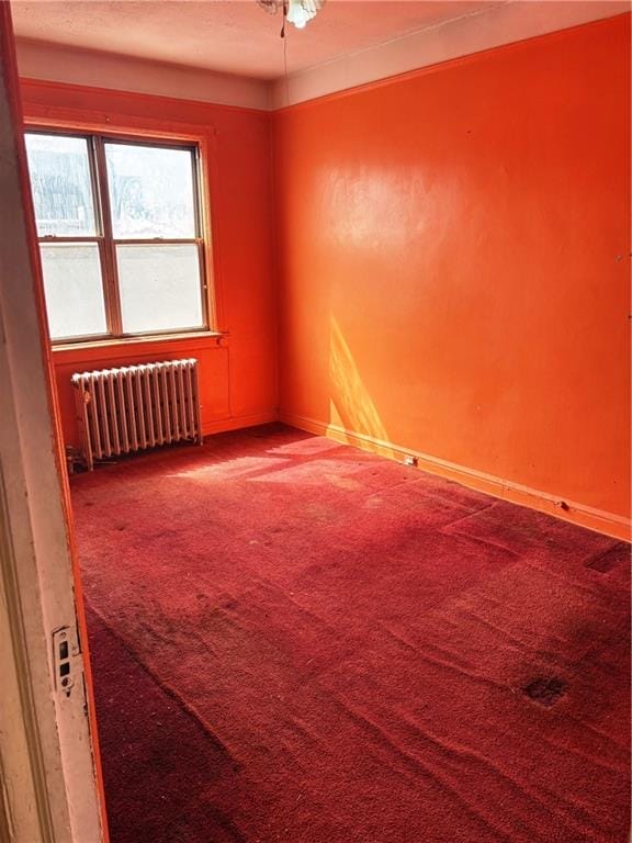 388 Fenimore Street, Brooklyn, New York, 11225 image 10