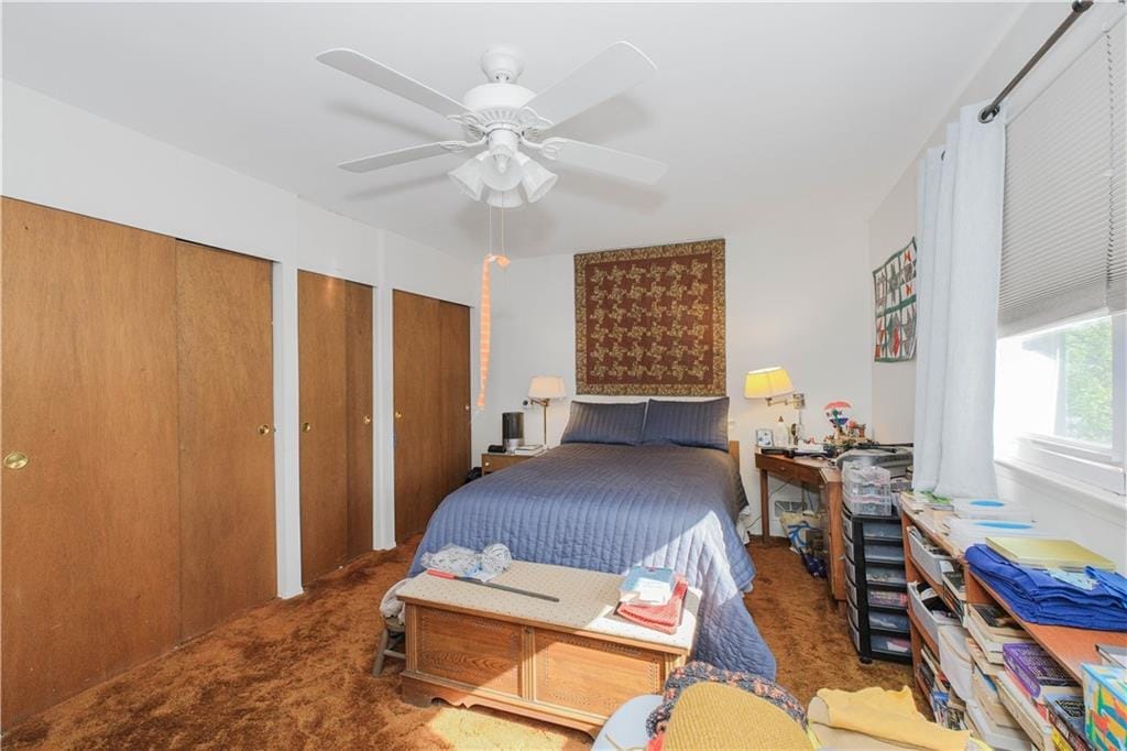 203 Ardmore Avenue, Staten  Island, New York, 10314 image 17