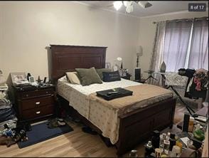 114-51 204th Street, St. Albans, New York, 11412 image 14