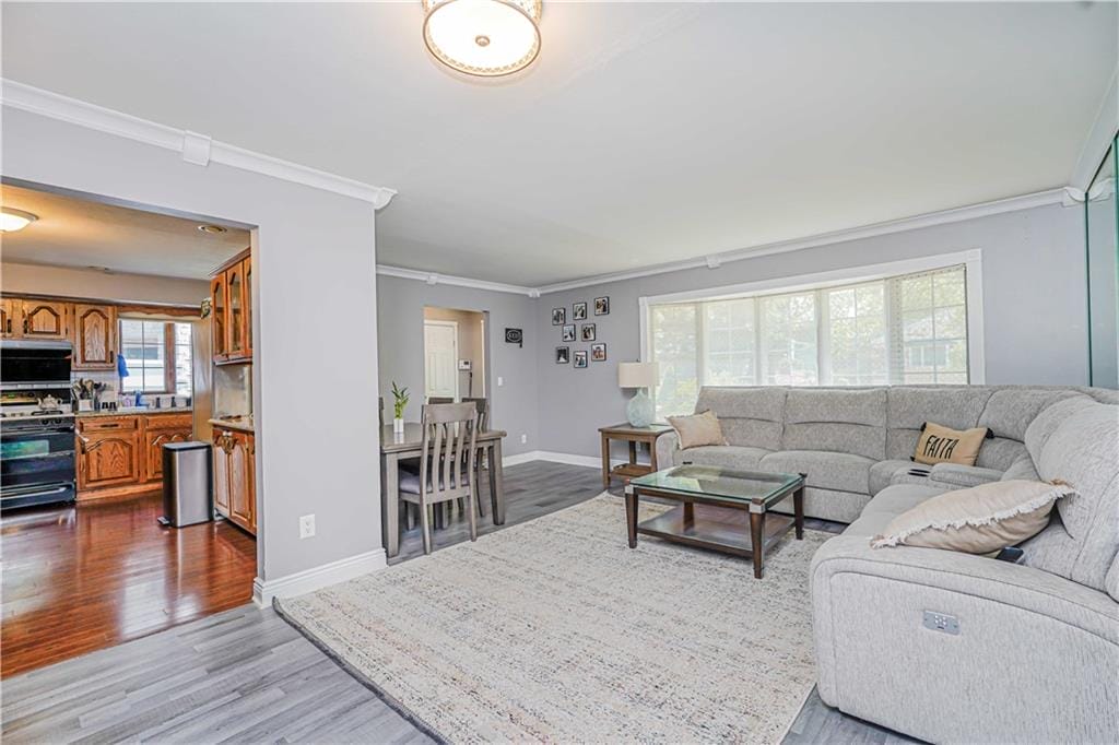 39 Morton Street, Staten  Island, New York, 10306 image 12