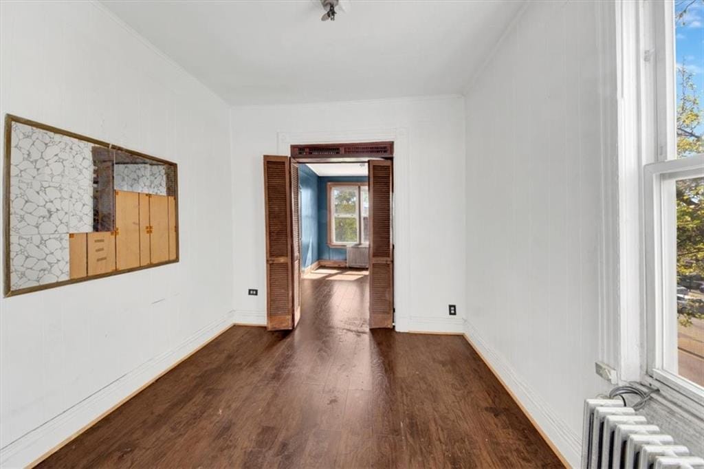 34 Gunther Place, Brooklyn, New York, 11233 image 10