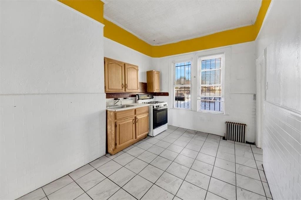 34 Gunther Place, Brooklyn, New York, 11233 image 8