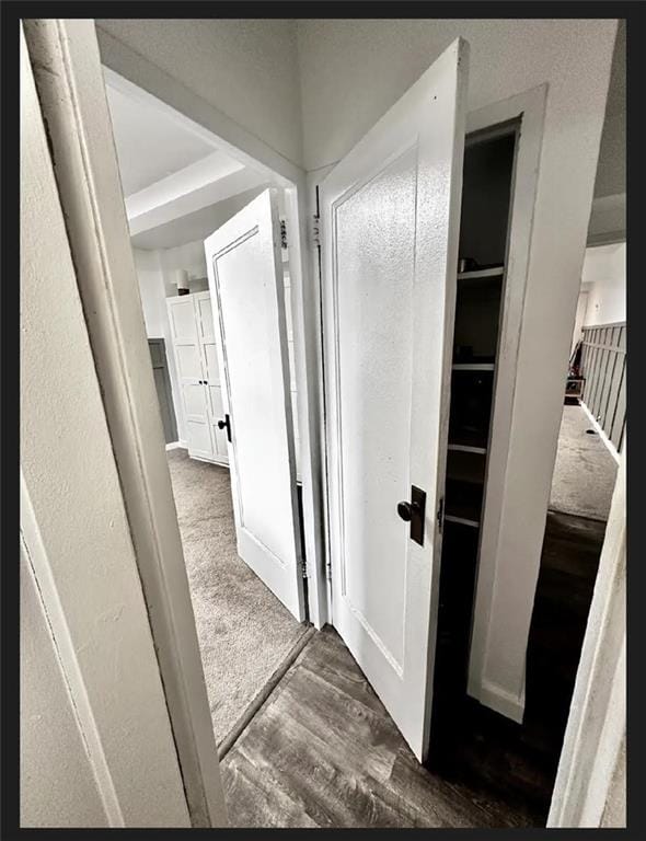 89 Metropolitan Oval 10G, Bronx, New York, 10462 image 12