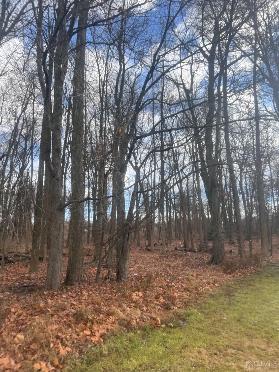 990-990 990 Inman Avenue, Edison, NJ, 08820 image 7