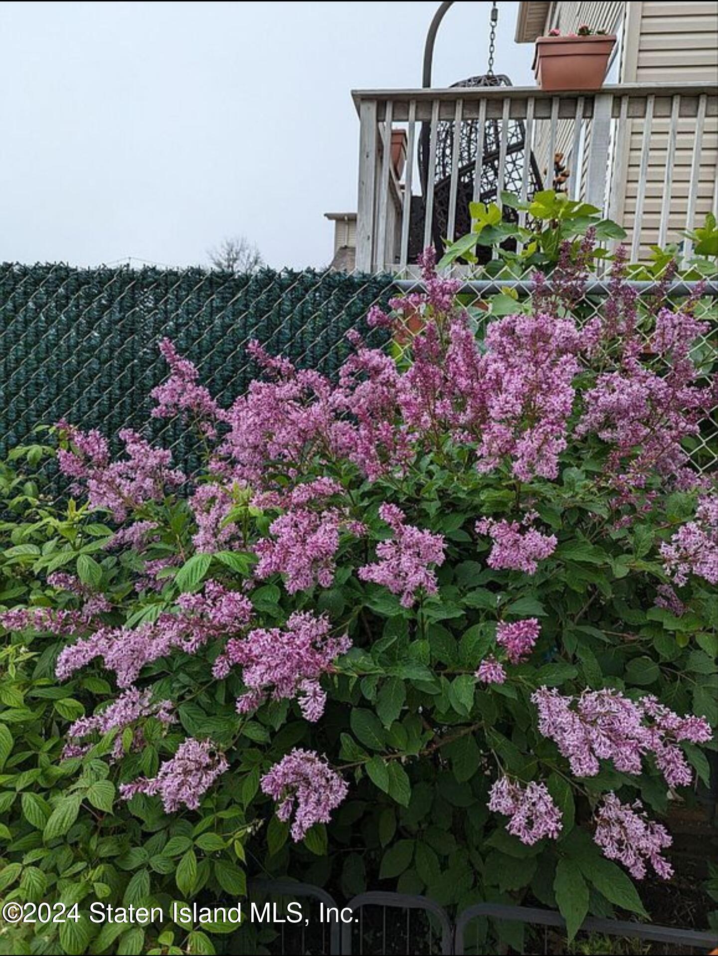 26 Guilford Street, Staten Island, NY, 10305 image 29