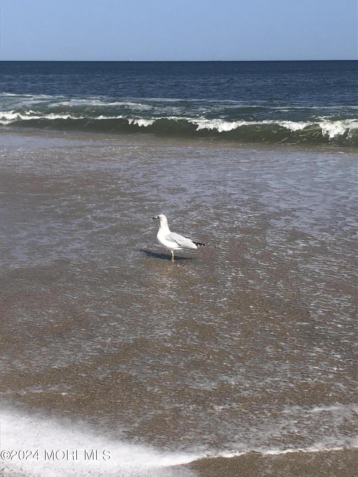 42 Village Road 42, Sea Bright, NJ, 07760 image 28