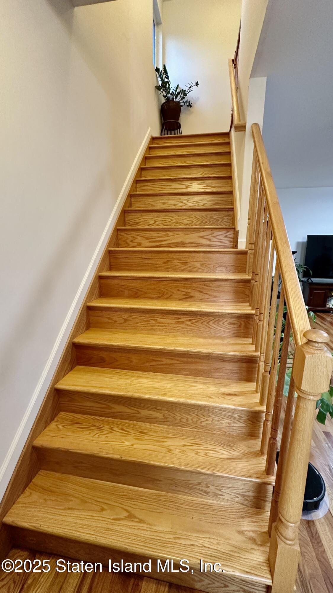 32 Scribner Avenue, Staten Island, NY, 10301 image 16