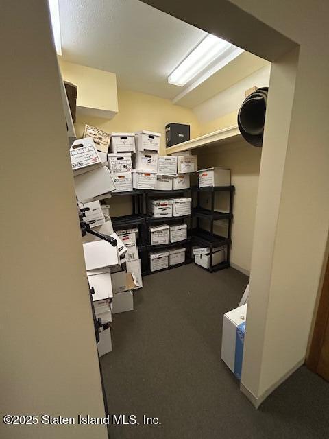 16 Driggs Street Lower Left, Staten Island, NY, 10308 image 10