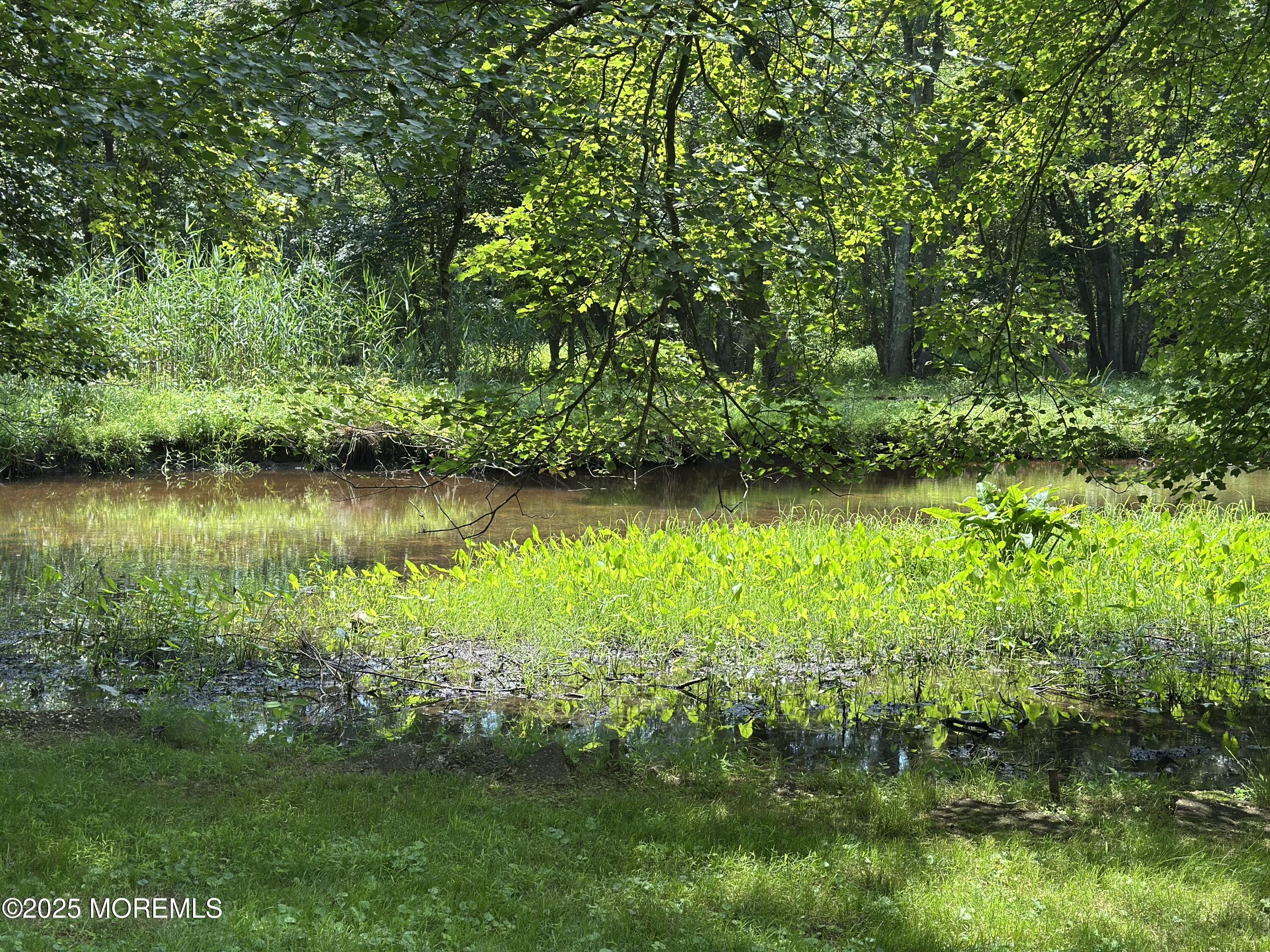 1007 Shore Road, Spring Lake Heights, NJ, 07762 image 44