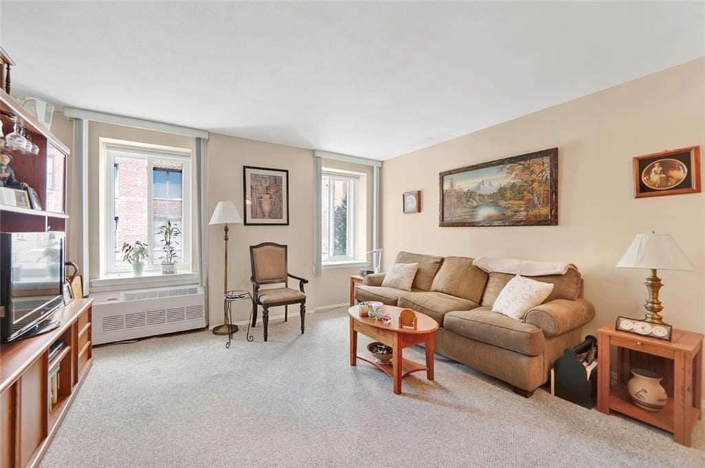 3171 Whitney Avenue 3F, Brooklyn, New York, 11229 image 7