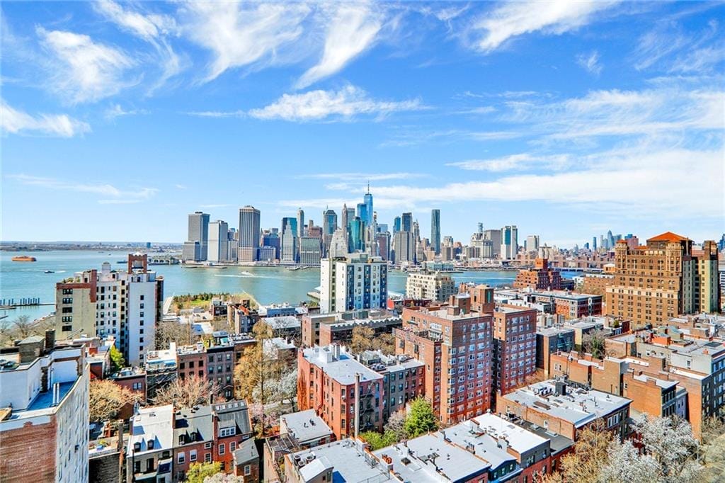 173 Hicks Street 4E, Brooklyn, New York, 11201 image 9