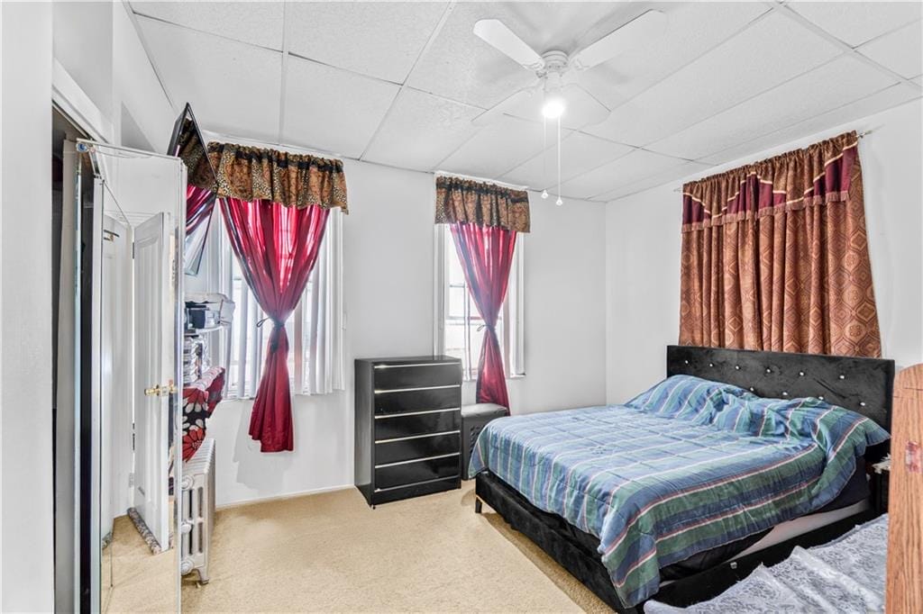 8617 Avenue J, Brooklyn, New York, 11236 image 10