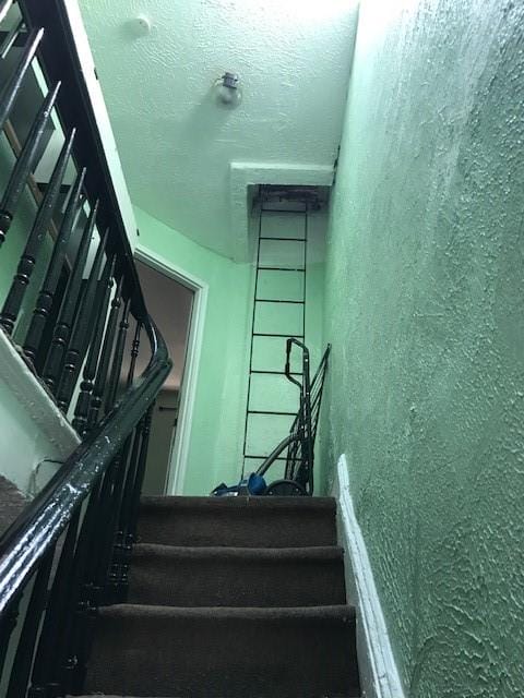 12 Pleasant Place, Brooklyn, New York, 11233 image 7