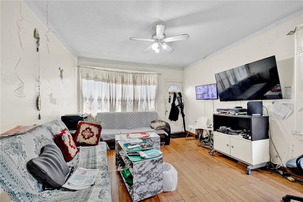 1011 Banner Avenue, Brooklyn, New York, 11235 image 7