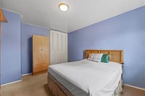 628 Thomas S Boyland Street, Brooklyn, New York, 11212 image 6