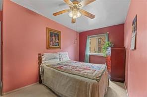 628 Thomas S Boyland Street, Brooklyn, New York, 11212 image 8