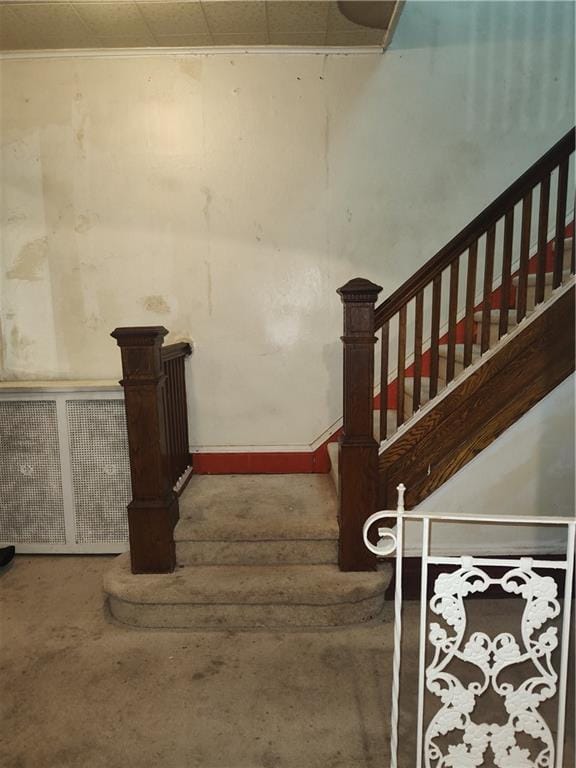 324 East 26th Street, Brooklyn, New York, 11226 image 6