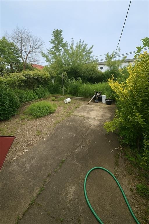 693 Georgia Avenue, Brooklyn, New York, 11207 image 23