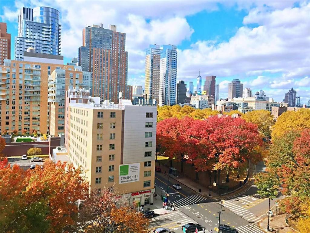 105 Ashland Place 10A, Brooklyn, New York, 11201 image 14