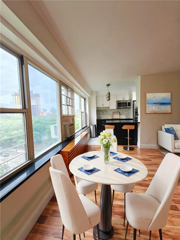 105 Ashland Place 10A, Brooklyn, New York, 11201 image 6