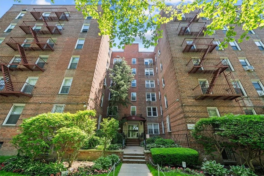 221 McDonald Avenue 6R, Brooklyn, New York, 11218 image 10