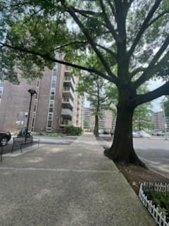 200 Cozine Avenue 6F, Brooklyn, New York, 11207 image 8