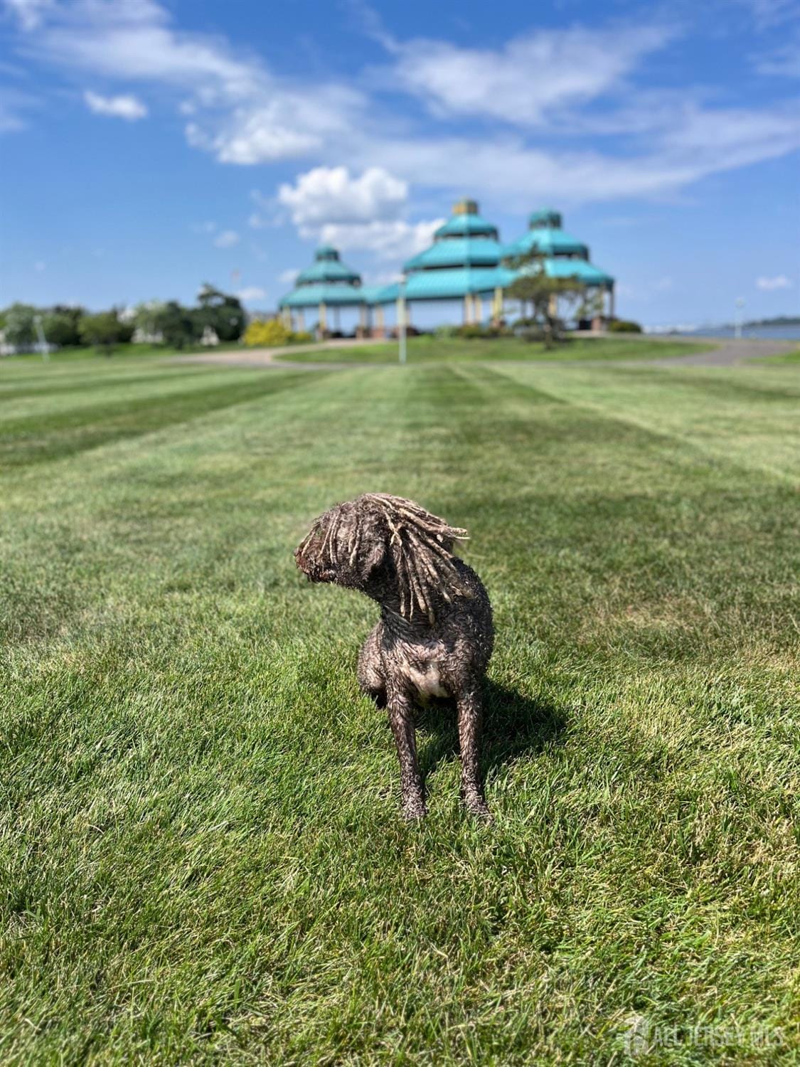 349 David Street, South Amboy, NJ, 08879 image 22