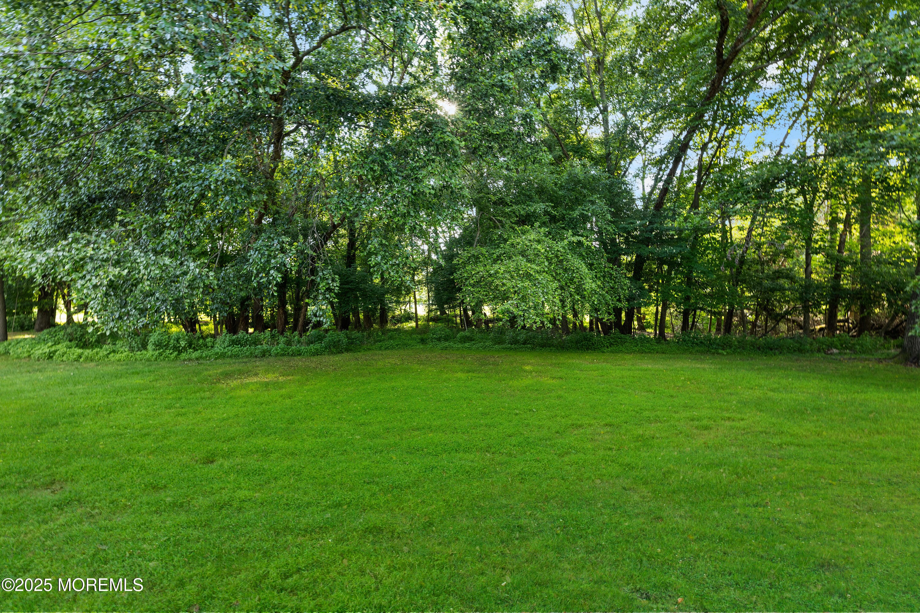 229 Medford Court B, Manalapan, NJ, 07726 image 27
