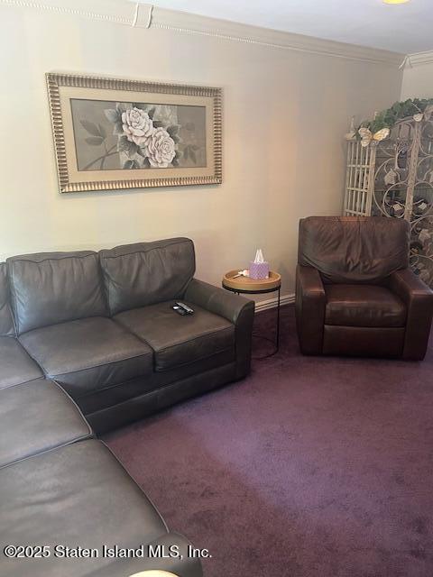 45 Daffodil Court, Staten Island, NY, 10312 image 8