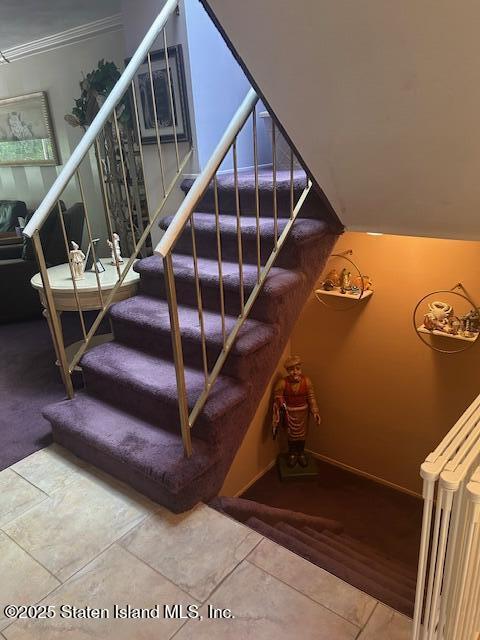 45 Daffodil Court, Staten Island, NY, 10312 image 11