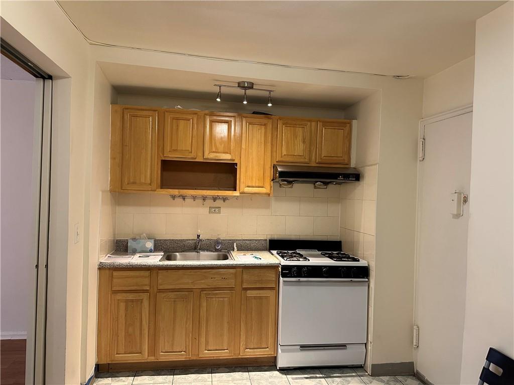 345 Webster Avenue 1O, Brooklyn, New York, 11230 image 7