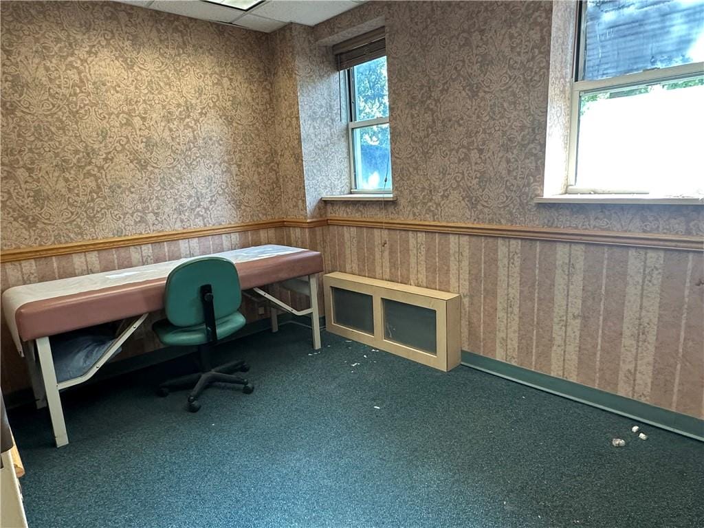 3901 Nostrand Avenue LL4 Image 4