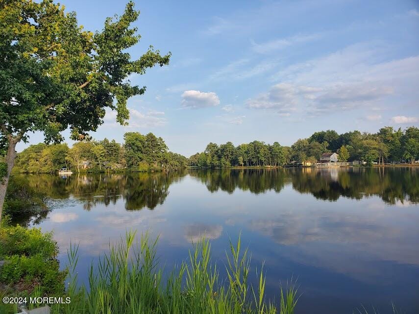 10-D Tara Drive, Browns Mills, NJ, 08015 image 30