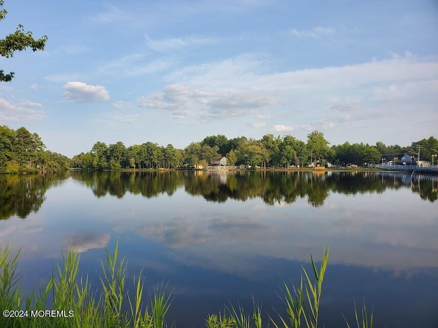 10-D Tara Drive, Browns Mills, NJ, 08015 image 31