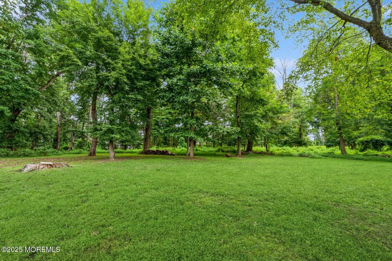 132 Viburnum Terrace Image 5