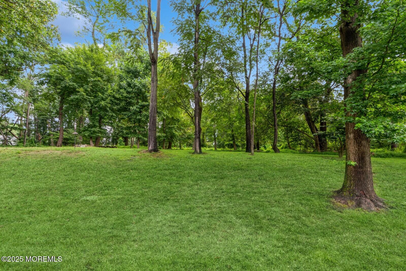132 Viburnum Terrace, Red Bank, NJ, 07701 image 40