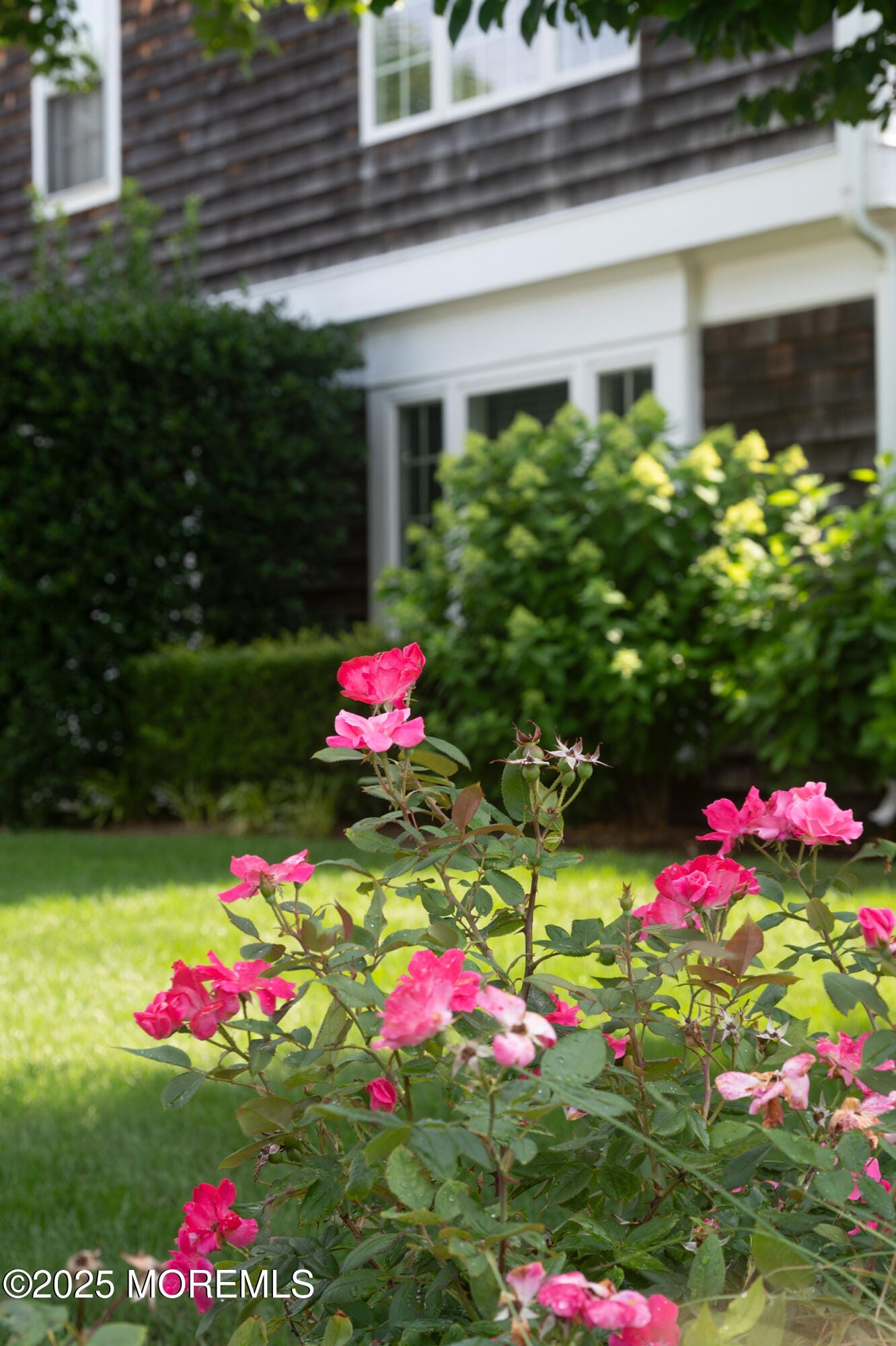 1519 Runyon Lane, Mantoloking, NJ, 08738 image 36