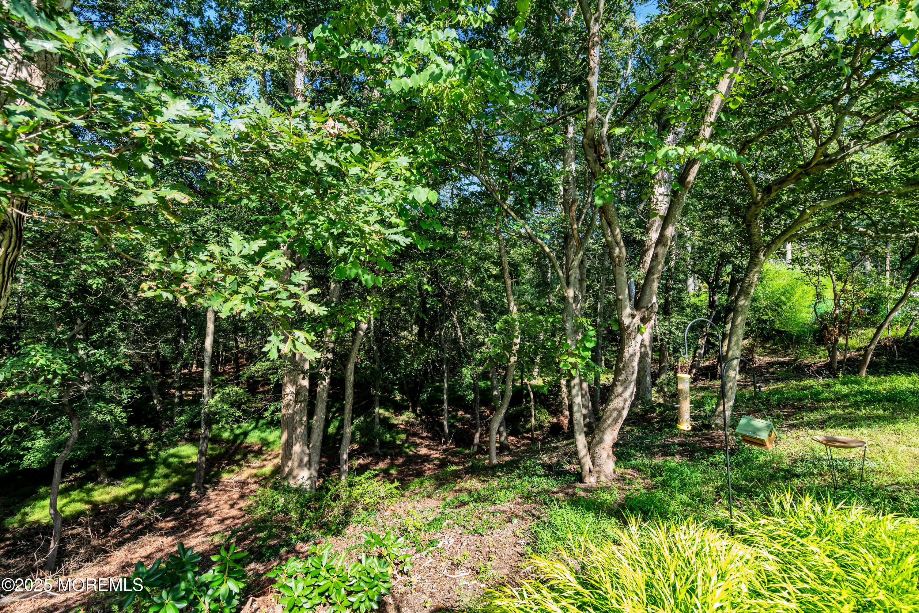56 Cliffside Drive, Toms River, NJ, 08755 image 40