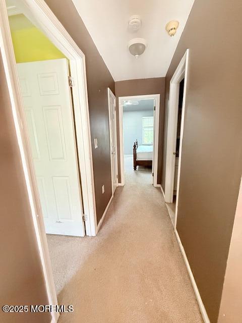 64 Agostina Drive, Holmdel, NJ, 07733 image 13