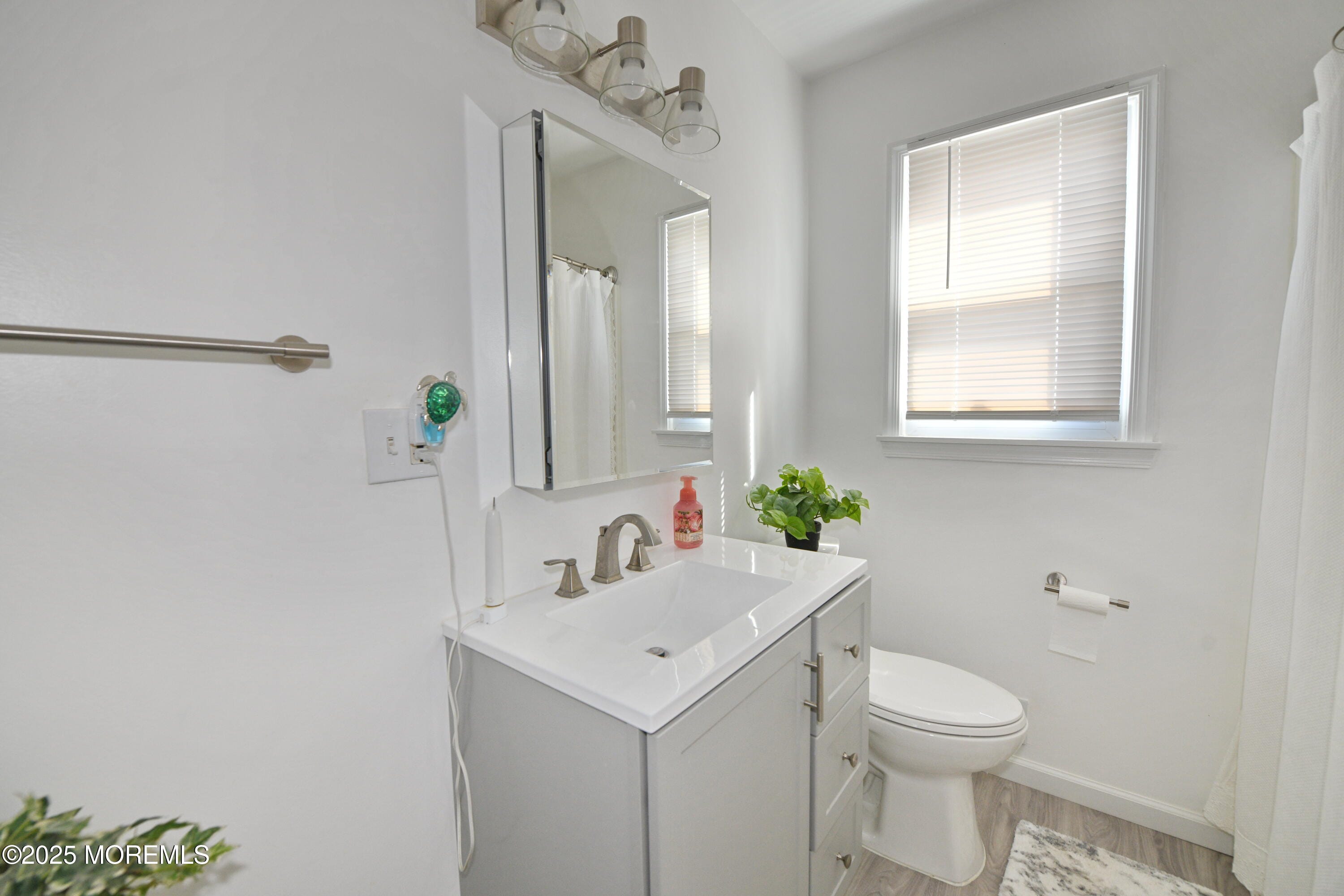 105 Midstreams Place, Brick, NJ, 08724 image 21