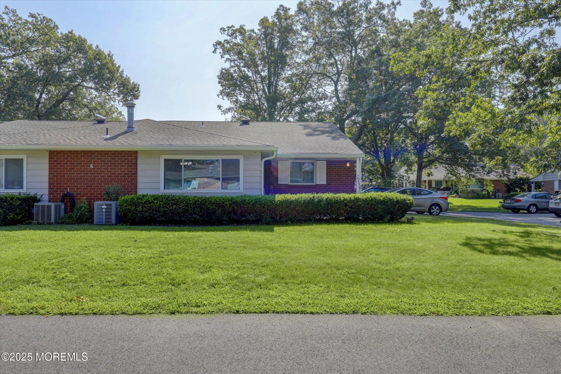 6A Dove Street Image 3
