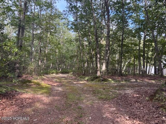 589 Genova Avenue, Jackson, NJ, 08527 image 6