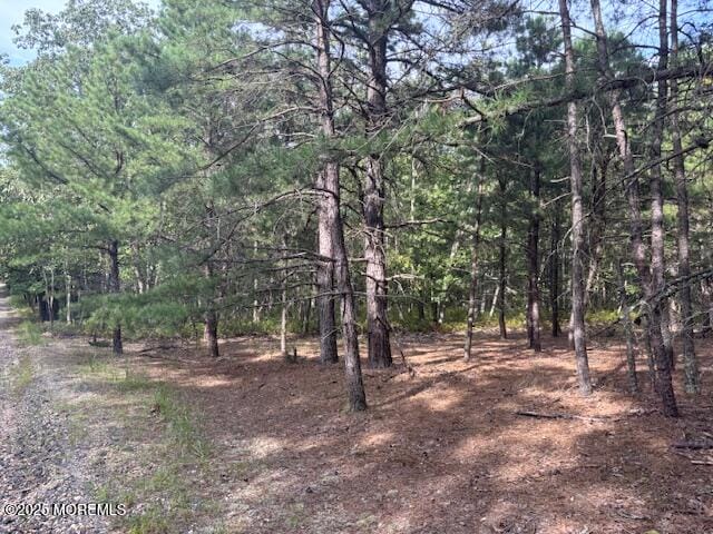 589 Genova Avenue, Jackson, NJ, 08527 image 10
